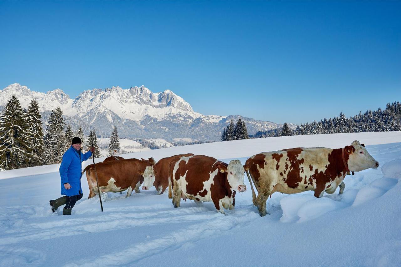 Apartment Wachinghof Reith bei Kitzbühel Exteriör bild
